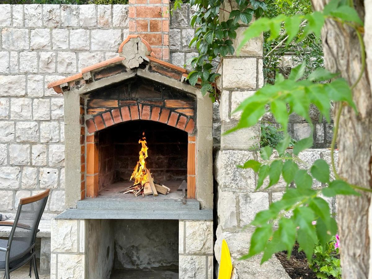 Orhideja *